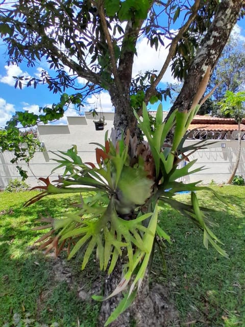 Mansion in the mountains House in State of Rio de Janeiro