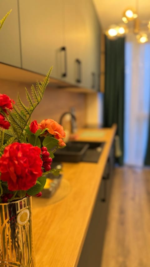 SHoliday Sky Panoramic Apartment New Building Private Parking Apartment in Timisoara