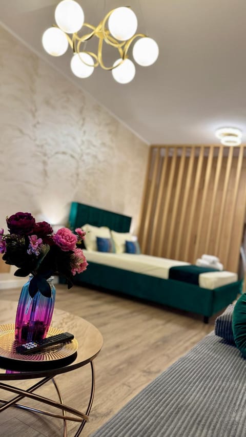 SHoliday Sky Panoramic Apartment New Building Private Parking Apartment in Timisoara