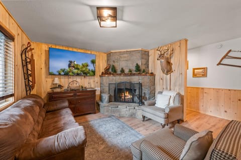 TV and multimedia, Living room