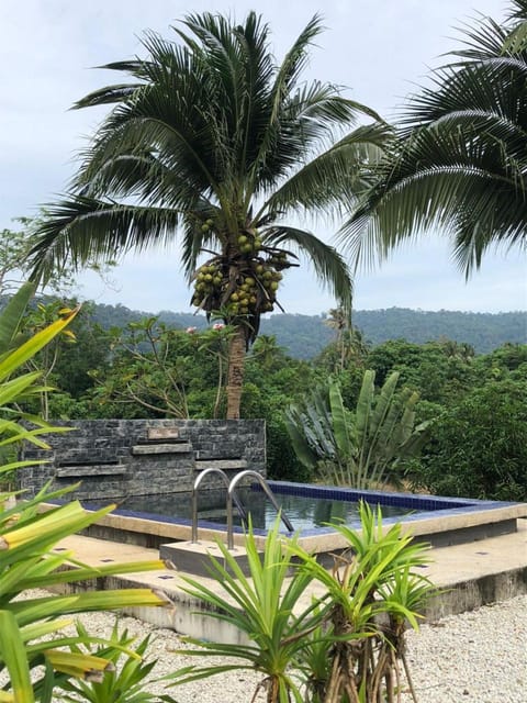 Natural landscape, Mountain view, Swimming pool