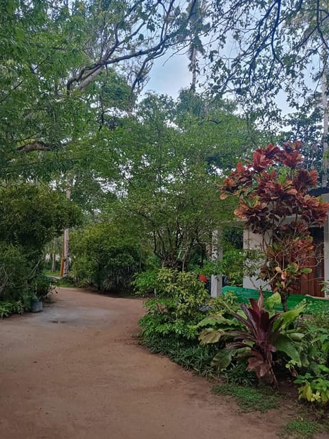 Day, Garden, Garden view