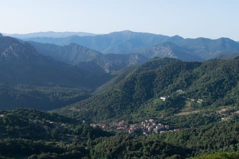 Natural landscape, City view