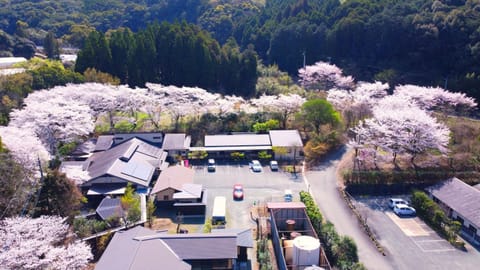 Spring, Natural landscape