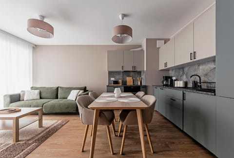 Kitchen or kitchenette, Living room, stove