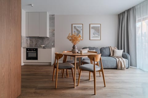 Kitchen or kitchenette, Living room, Seating area, Dining area, oven, stove