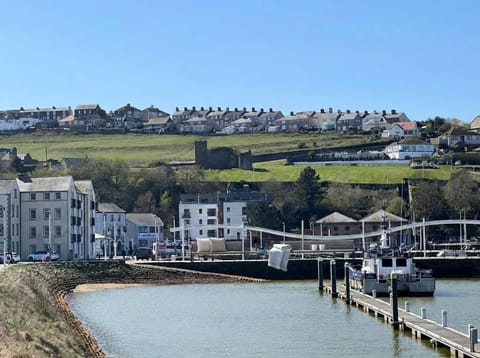 Bright 1 Bed Harbour-side Apartment with Balcony Apartment in Copeland District