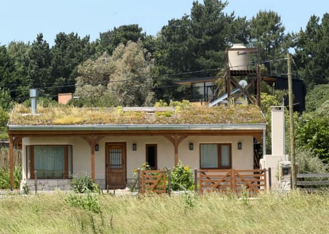 Property building, Natural landscape, Garden, Garden view