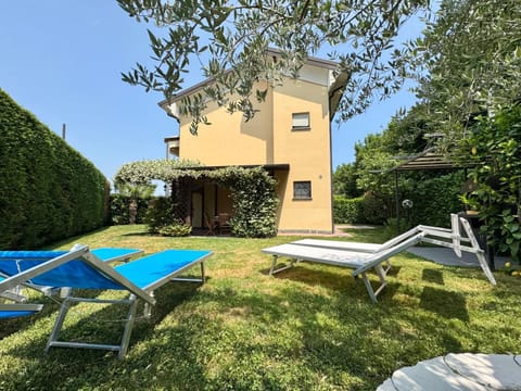 Garden, Garden view, sunbed