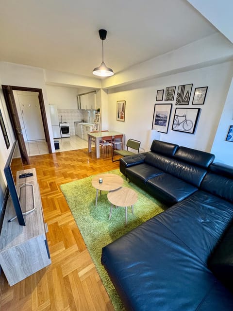 Bright & Cozy Urban Apartment Apartment in Podgorica