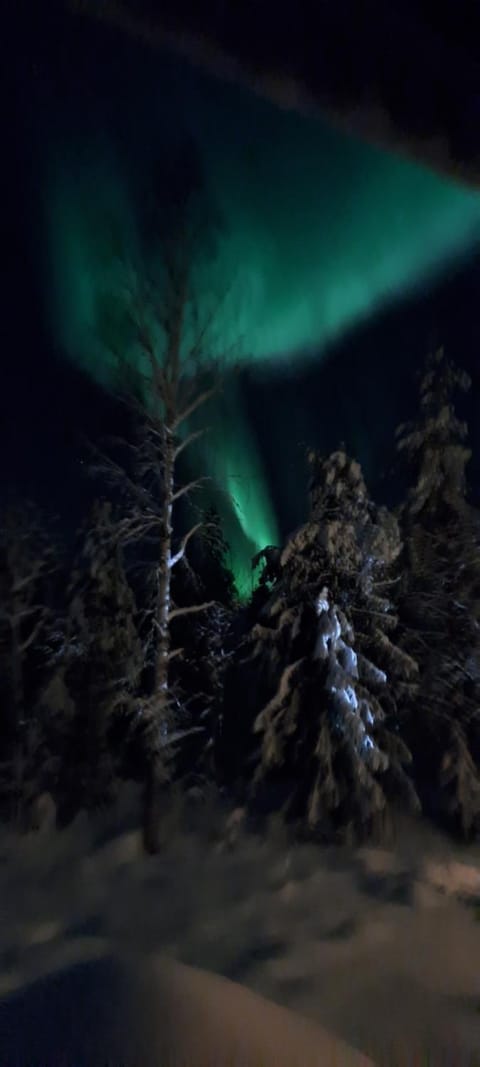 Night, Natural landscape, Winter, View (from property/room), Inner courtyard view