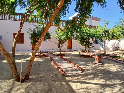 Spring, Day, Garden, Garden view