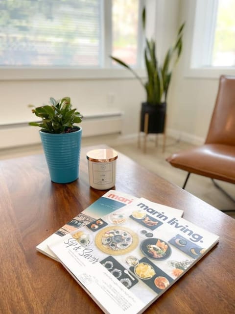 Hip and chic one bedroom apartment Apartment in San Anselmo