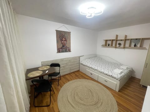 Studio Modest Apartment in Craiova
