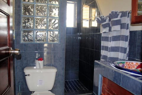 Casa Palma Bed and Breakfast in Placencia