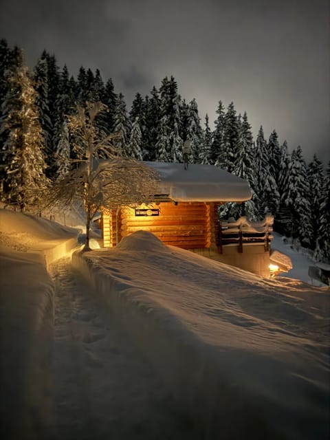 Property building, Night, Natural landscape, Winter