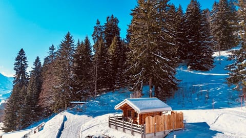 Property building, Natural landscape, Winter
