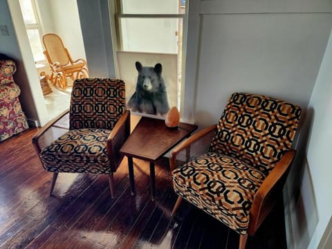 The Owl's nest House in Palmer Lake