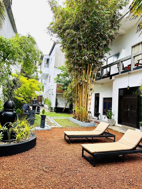 Day, Garden, sunbed