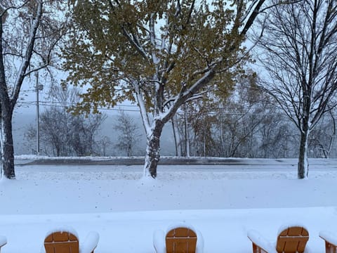 Day, Natural landscape, Winter, Lake view