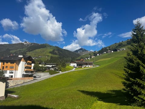 Spring, Day, Natural landscape, View (from property/room), Mountain view