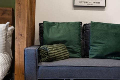 Olive Branch Apartments - Stylish Studio & 1 Bed Deluxe Apartments in the Heart of Broomhill - Hosted by Stay Host Save Apartment in Sheffield