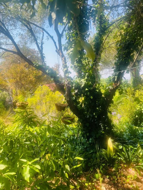 41 on RUPERT Bed and Breakfast in Cape Town