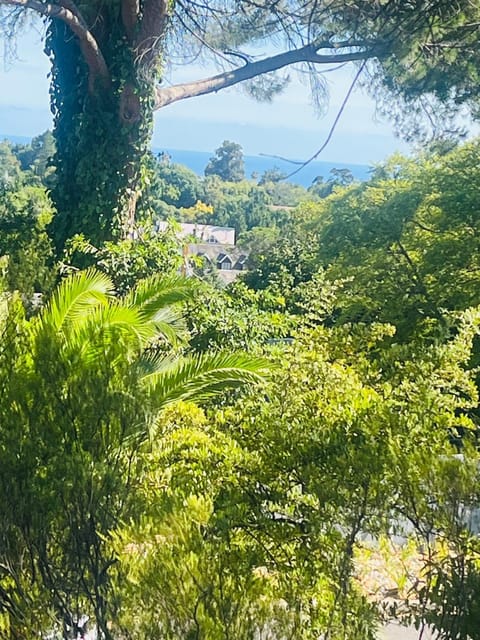 41 on RUPERT Bed and Breakfast in Cape Town