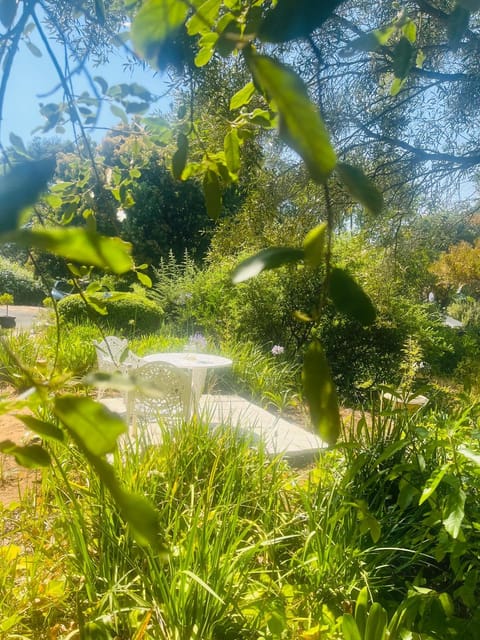 41 on RUPERT Bed and Breakfast in Cape Town