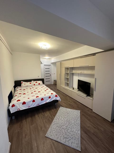 Brâncoveanu Sky Apartment in Craiova