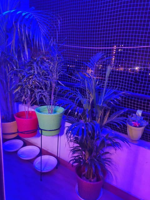 Premium Home Stay in jaipur Apartment in Jaipur