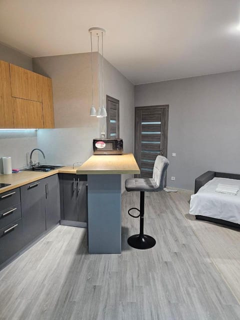 Bed, Kitchen or kitchenette, Photo of the whole room, Dining area, Bedroom