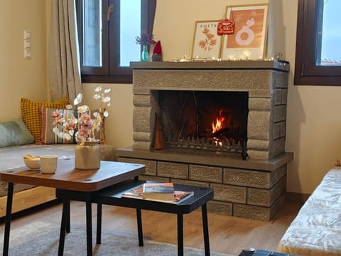 Metsovo Fireplace Retreat I Apartment in North Macedonia