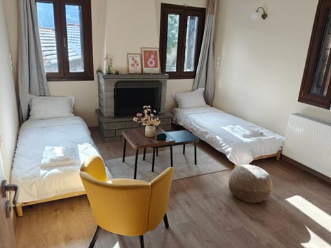 Metsovo Fireplace Retreat I Apartment in North Macedonia