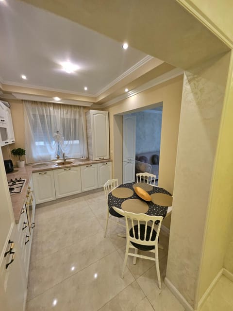 Amazing Family Delight 2 Apartment in Timisoara