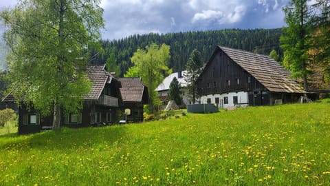 Property building, Natural landscape, Garden