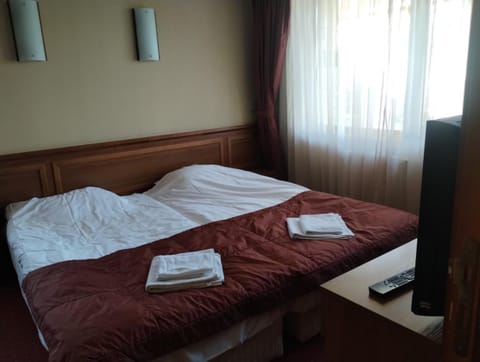 хотел София Hotel in Bansko