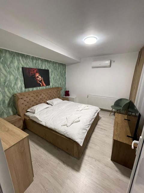 Pensiunea Canciu Bed and Breakfast in Craiova