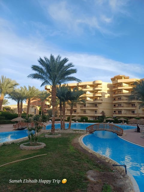 Property building, Day, Pool view, Swimming pool, Swimming pool, sunbed