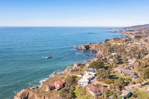 NEW Redwoods & Ocean Retreat close to dining and shops House in Gualala
