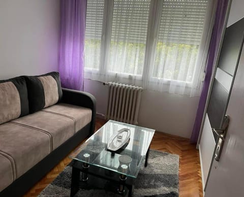 Stan Apartment in Serbia