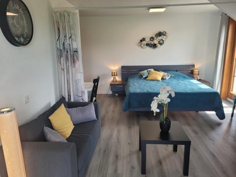 Bed, Living room, Photo of the whole room, Seating area, Bedroom