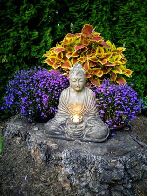 Spring, Day, Garden, Garden view