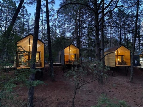 BosqueCielo Cabañas Diseño Natural Arte Galeria House in Hidalgo, Mexico