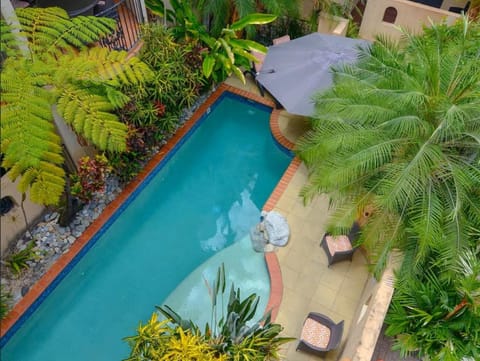 Garden, Swimming pool, sunbed