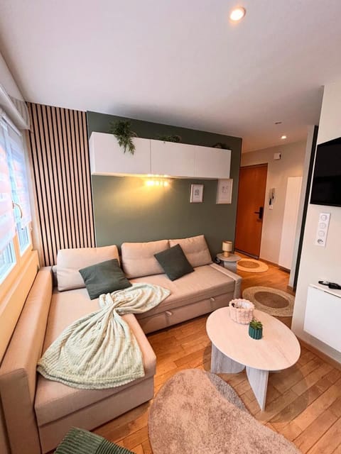 Bed, TV and multimedia, Living room, Photo of the whole room, Seating area, Bedroom