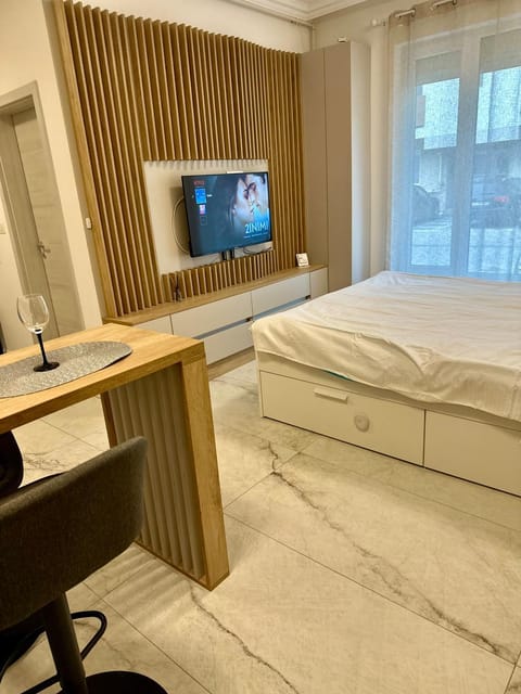 Ground Floor Studio Apartment in Timisoara