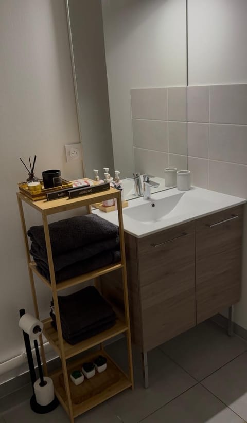 Beautiful Strasbourg apartment, 2 high standing rooms Apartment in Illkirch-Graffenstaden