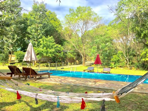 Garden, Garden, Pool view, Swimming pool