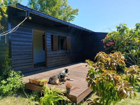 Property building, Spring, Day, Garden view